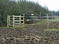 A muddy approach to the footpath gate - geograph.org.uk - 2253743.jpg