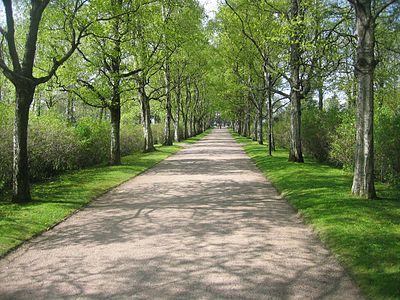 Cemitério de Hietaniemi