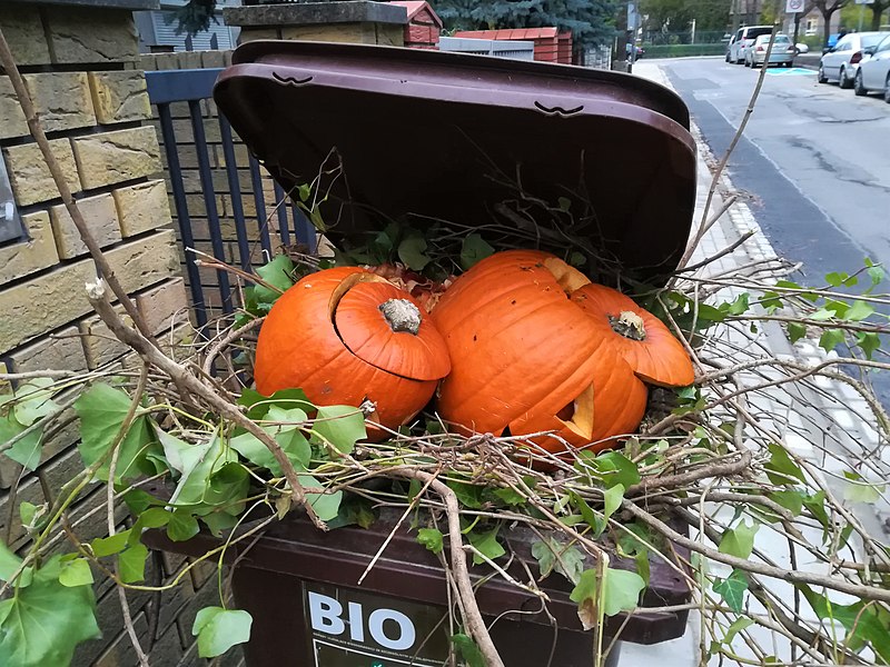 File:Abisynia Poznan, po halloween.jpg