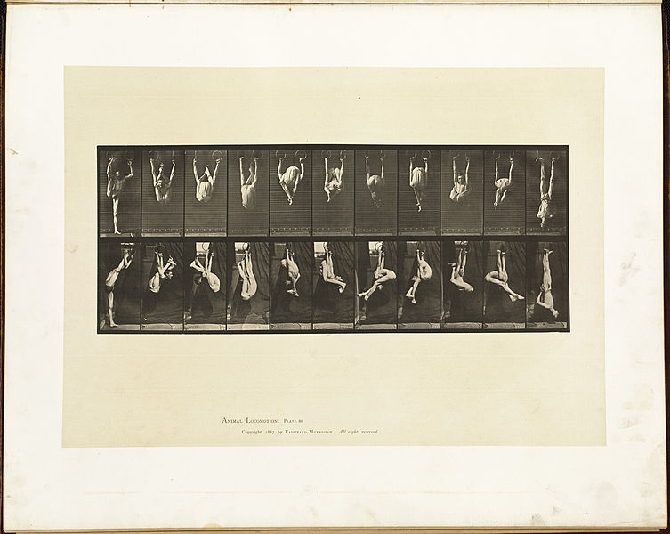 File:Animal locomotion. Plate 512 (Boston Public Library).jpg