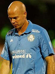 Antônio Carlos Zago (2010) .JPG