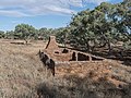 * Nomination A view of the Appealinna Ruins in Ikara-Flinders Ranges National Park --DXR 08:34, 2 April 2023 (UTC) * Promotion  Support Good quality. --LexKurochkin 08:41, 2 April 2023 (UTC)