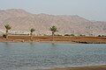 Aqaba from Eilat2012-3.jpg
