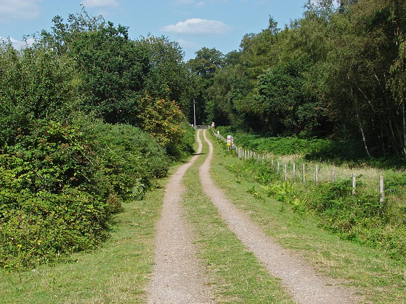 File:Ash Ranges perimeter road - geograph.org.uk - 4106274.jpg