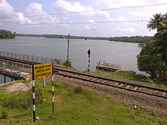 Ashtamudi Lake.jpg