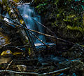 Backwoods waterfall (7221530192).jpg