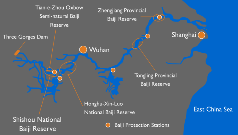 File:Baiji conservation efforts map.png