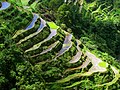 * Nomination The grandeur of Banaue Rice Terraces (by Cabajar)-- Achim Raschka 07:15, 28 October 2012 (UTC) * Decline Loos nice, but 100% view shows lots of noise/JPEG artefacts and almost no detail. --Jastrow 11:11, 29 October 2012 (UTC)