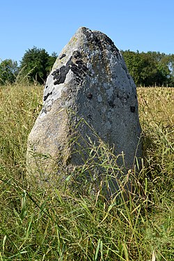 Ilustrační obrázek článku Menhirs de la Frébouchère