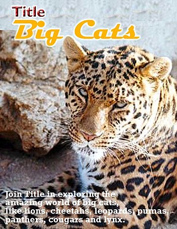 Big cats