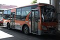 Biobus - Wikipaseo fotográfico Concepción 2019 - (258).jpg