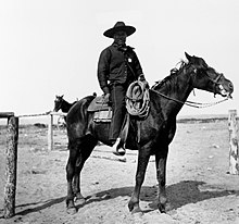 A significant amount of cowboys were black, with some estimates giving figures as high as 25% nationwide for those on trail drives. Pictured is a black sheriff in Pocatello, Idaho, 1903. Black Sheriff.jpg