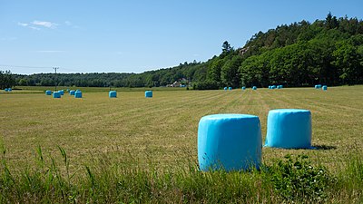 Plastic-wrapped silage bales in a field Blue silage bales in Biberg 1.jpg