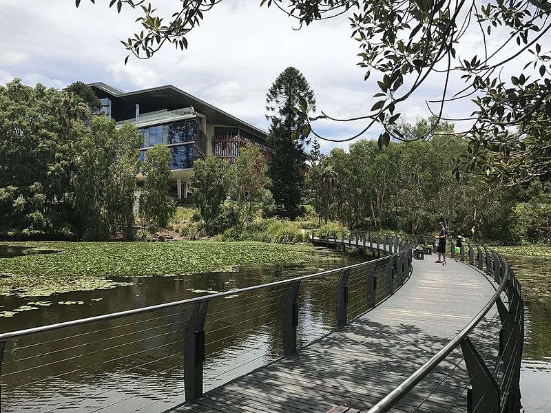 File:Boardwalk across UQ Lake, UQ, St Lucia Campus 02.jpg