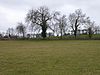 Boddington Meadow 2.jpg