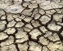 Desiccated soil of the Etosha pan Boden etosha.jpg