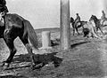 Cippo di confine tra Sinai e Palestina, 1917