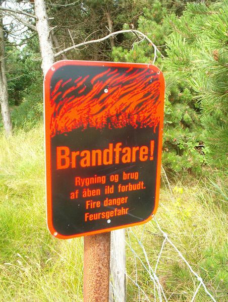 File:Brandfare.jpg