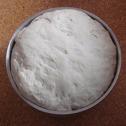 Yeast bread dough after rising (proofing), for 40 minutes