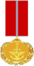 Brigadier General rank medal.png