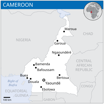 Médias au Cameroun