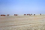 صورة مصغرة لـ صحراء رجيستان