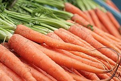 Carrots are a rich source of beta-carotene Carrots.JPG