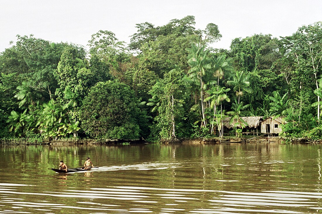 Cuenca del Amazonas