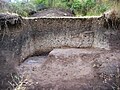 Detalle del «basurero» donde se encontraron restos de cachas de navaja, fichas de juegos y cerámica usada por los habitantes del castro.