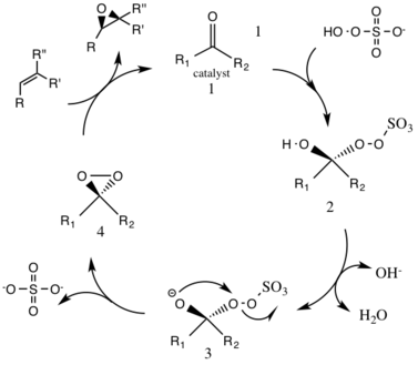 Cycle showing generation of dioxirane and its reaction with alkene substrate. Catalystcycle.png