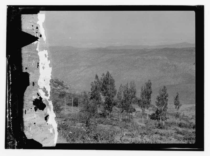 File:Cedars and Robinson family LOC matpc.13062.tif