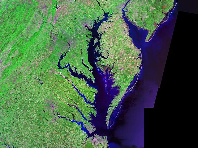 A satellite image of Chesapeake Bay