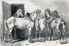 Kaiverrus, joka kuvaa neljää vaaleaa hevosta maatilan pihalla, puoliksi varustettuna valjailla.