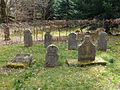 Cimetière mennonite de Salm (1) .jpg