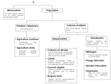 Classification rotation.png