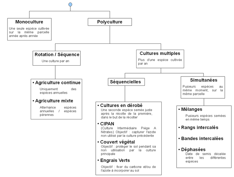 File:Classification rotation.png