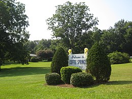 Coffee Springs (Alabama) - Sœmeanza