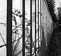 Concrete fence of Nagai Botanical Garden (B&W), January 2024 - 7573.jpg