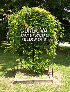 Cordova, Tennessee Community in Tennessee, United States