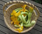 Cucurbita moschata trombetta (C. moschata horticultural group Crookneck o cuello curvo, no confundir con Cucurbita pepo grupo Croockneck). Grupo informal, en el extremo de la cicatriz del perianto alrededor de la cavidad seminal es redondeado, a lo que sigue un cuello largo que en general se curva durante el cultivo. [cita 18]​, se consume maduro o inmaduro, es muy apreciado para el consumo inmaduro.[cita 19]​ En Italia hay dos variedades 'Tromboncino' y 'Tromba d'Albenga' (o Trombetta di Albenga si inmadura), que quizás sean indiferenciables[72]​ y que al igual que su descendiente 'Butternut'[11]​ se consideran mejores que el zucchini para consumir inmaduras.[72]​ Puede vérselo en la web en castellano como "zapallito trompeta" (lo que parece una castellanización del italiano trombetta), y podría vérselo traducido con nombres del estilo "zapallito trombón italiano" (de italian trombone squash).