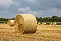 * Nomination Bales of straw on a harvested grain field in the Dernekamp hamlet, Kirchspiel, Dülmen, North Rhine-Westphalia, Germany --XRay 04:00, 20 August 2021 (UTC) * Promotion  Support Good quality. --Knopik-som 04:07, 20 August 2021 (UTC)