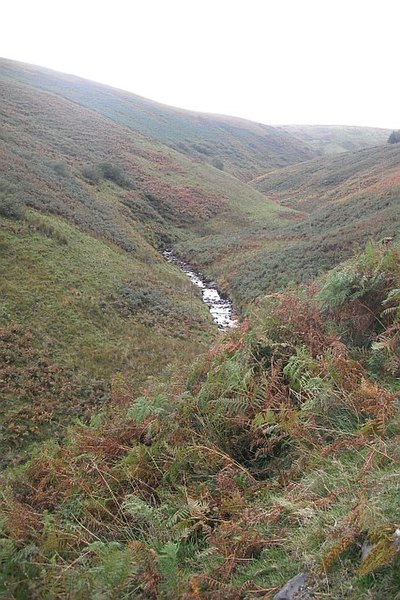 File:Dawston Burn - geograph.org.uk - 1522488.jpg