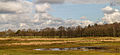 Delleboersterheide – Catspoele Natuurgebied van It Fryske Gea. Omgeving van het heideveld.