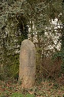 Der Menhir von Freinsheim