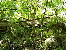 Devil's Millhopper - 12.jpg