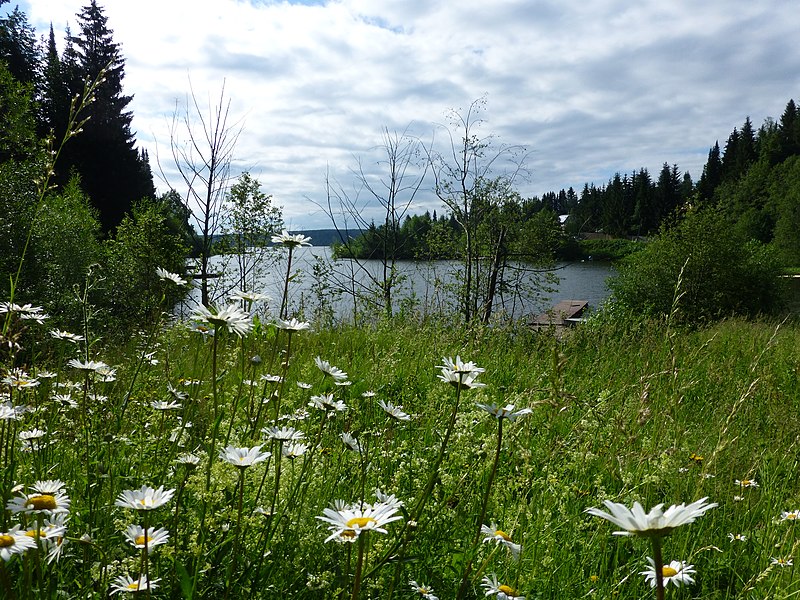 File:Dobryanskiy r-n, Permskiy kray, Russia - panoramio (128).jpg