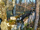 Dolmen no 1