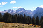 Miniatura para Macizo de Brenta