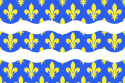 Drapeau proposé pour le département de Seine-et-Marne.svg