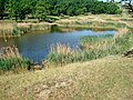 Lacul Nyalkos (Lacul Mocirlos)